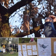 Le mangiatoie nel parco e i laboratori di ornitologia